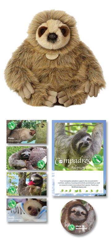 sloth plush adoption kit